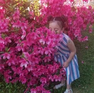 Meet your Posher, Mula